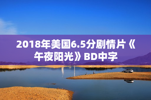 2018年美国6.5分剧情片《午夜阳光》BD中字