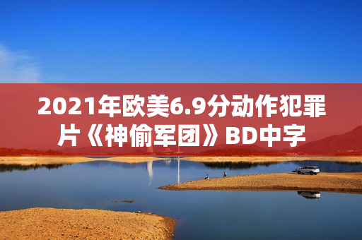 2021年欧美6.9分动作犯罪片《神偷军团》BD中字