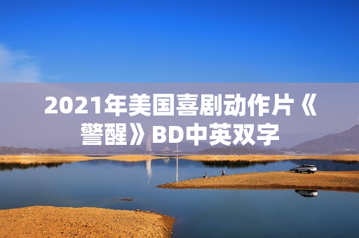 2021年美国喜剧动作片《警醒》BD中英双字