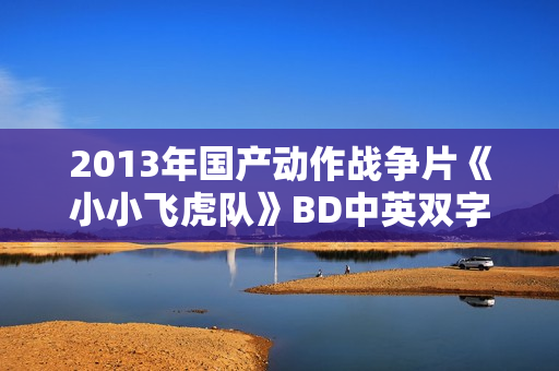 2013年国产动作战争片《小小飞虎队》BD中英双字