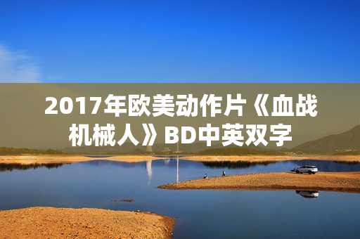 2017年欧美动作片《血战机械人》BD中英双字