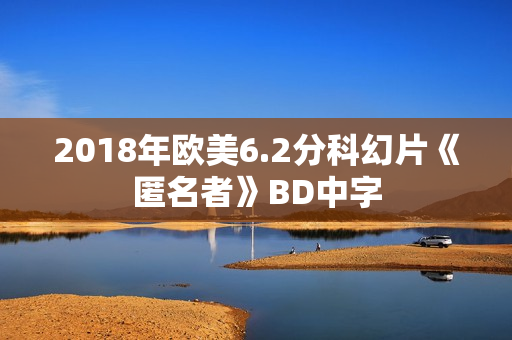 2018年欧美6.2分科幻片《匿名者》BD中字