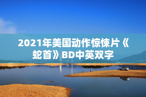 2021年美国动作惊悚片《蛇首》BD中英双字