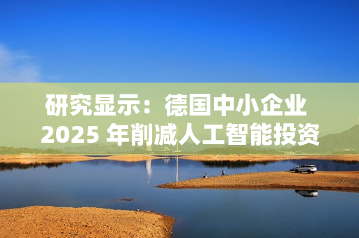 研究显示：德国中小企业 2025 年削减人工智能投资