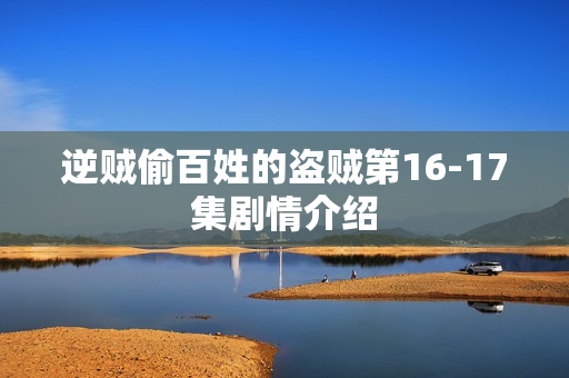 逆贼偷百姓的盗贼第16-17集剧情介绍