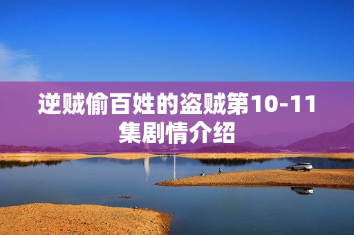 逆贼偷百姓的盗贼第10-11集剧情介绍