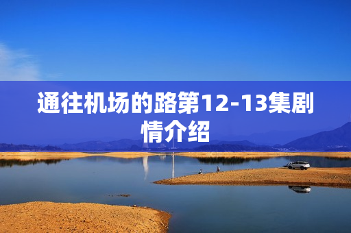 通往机场的路第12-13集剧情介绍