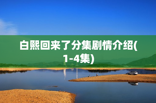 白熙回来了分集剧情介绍(1-4集)