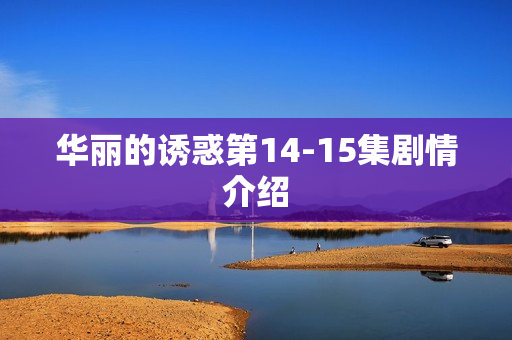 华丽的诱惑第14-15集剧情介绍