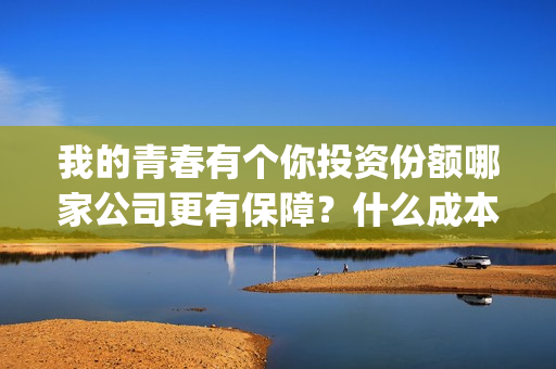 我的青春有个你投资份额哪家公司更有保障？什么成本？投资收益多少？(我的青春有个你演员表)
