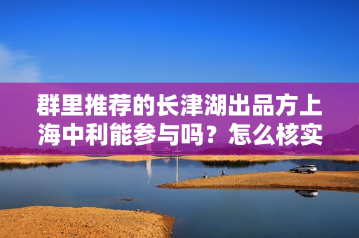 群里推荐的长津湖出品方上海中利能参与吗？怎么核实份额真实性？