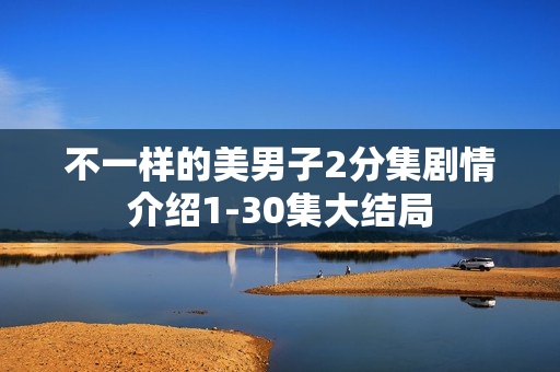 不一样的美男子2分集剧情介绍1-30集大结局