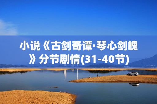 小说《古剑奇谭·琴心剑魄》分节剧情(31-40节)