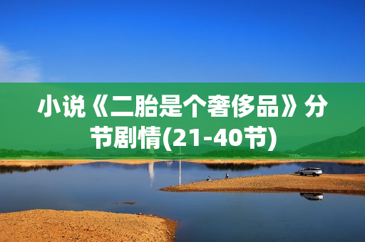小说《二胎是个奢侈品》分节剧情(21-40节)