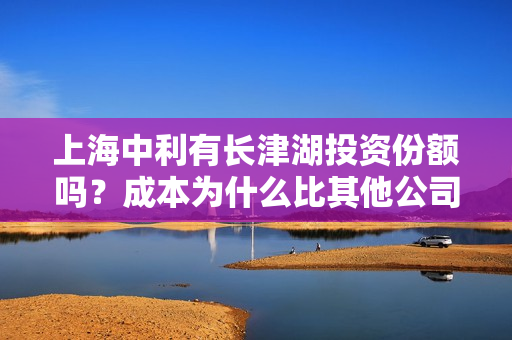 上海中利有长津湖投资份额吗？成本为什么比其他公司高？
