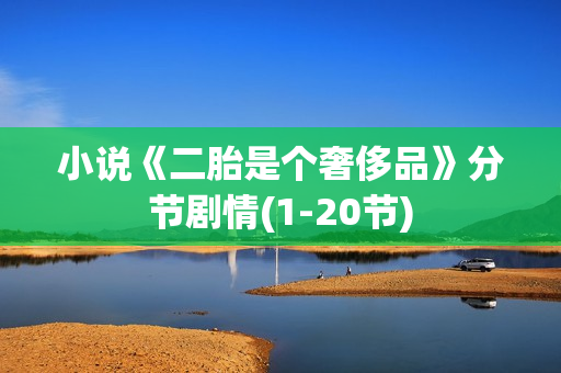 小说《二胎是个奢侈品》分节剧情(1-20节)
