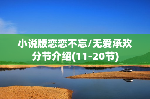 小说版恋恋不忘/无爱承欢分节介绍(11-20节)