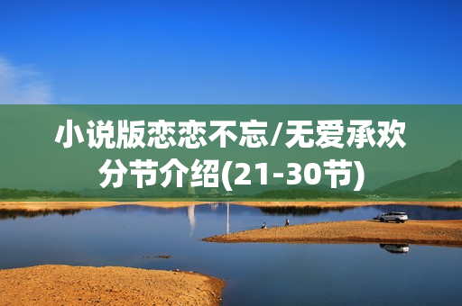 小说版恋恋不忘/无爱承欢分节介绍(21-30节)