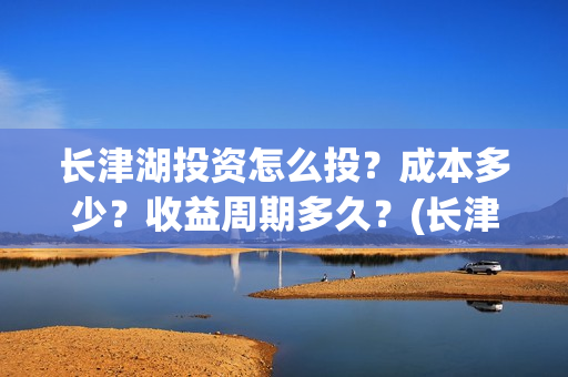 长津湖投资怎么投？成本多少？收益周期多久？(长津湖投资太大估计亏本)