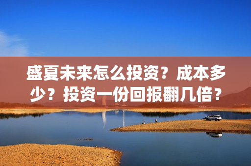 盛夏未来怎么投资？成本多少？投资一份回报翻几倍？(盛夏未来怎么买票)