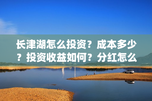 长津湖怎么投资？成本多少？投资收益如何？分红怎么分？(长津湖的投资额)