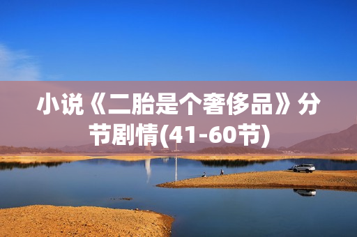 小说《二胎是个奢侈品》分节剧情(41-60节)