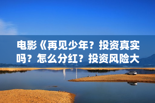 电影《再见少年？投资真实吗？怎么分红？投资风险大吗？(电影.再见.少年)