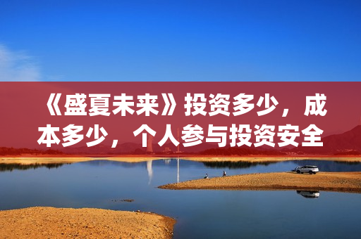 《盛夏未来》投资多少，成本多少，个人参与投资安全吗？(电影:盛夏未来)