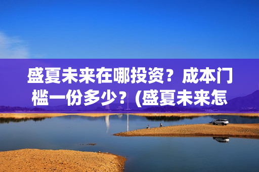 盛夏未来在哪投资？成本门槛一份多少？(盛夏未来怎么提前上映了)