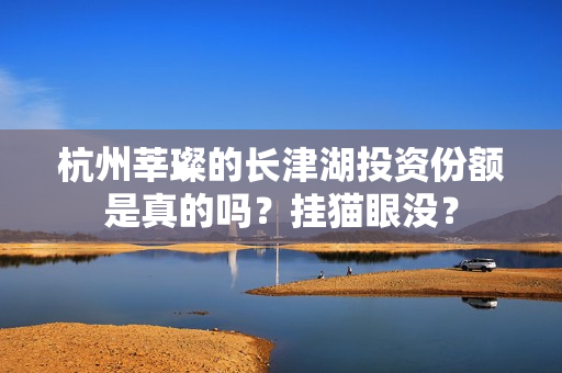 杭州莘璨的长津湖投资份额是真的吗？挂猫眼没？