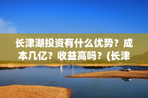 长津湖投资有什么优势？成本几亿？收益高吗？(长津湖的投资)