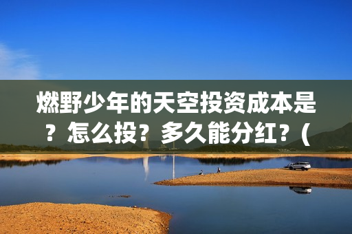 燃野少年的天空投资成本是？怎么投？多久能分红？(燃野少年的天空完整版免费观看)