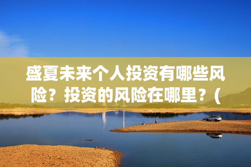 盛夏未来个人投资有哪些风险？投资的风险在哪里？(盛夏未来个人投资多少钱)