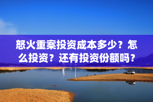 怒火重案投资成本多少？怎么投资？还有投资份额吗？(怒火重案投入多少)