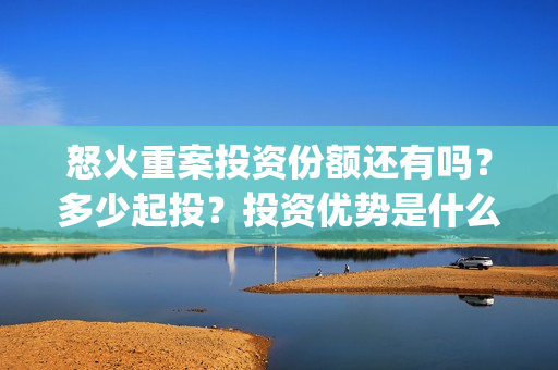 怒火重案投资份额还有吗？多少起投？投资优势是什么？(怒火重案的投资)