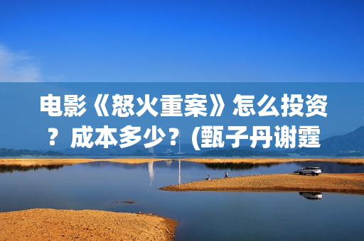 电影《怒火重案》怎么投资？成本多少？(甄子丹谢霆锋电影怒火重案)