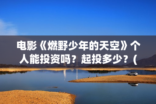 电影《燃野少年的天空》个人能投资吗？起投多少？(燃野少年 720p)