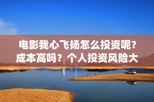 电影我心飞扬怎么投资呢？成本高吗？个人投资风险大吗？门槛多少？(我心飞扬导演)