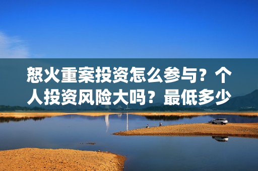怒火重案投资怎么参与？个人投资风险大吗？最低多少起投？(怒火重案投了多少钱)
