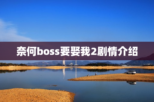 奈何boss要娶我2剧情介绍
