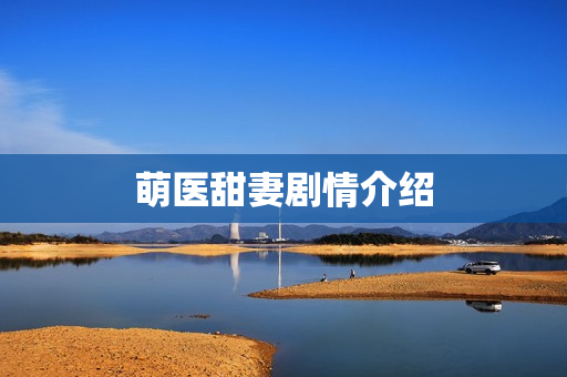 萌医甜妻剧情介绍