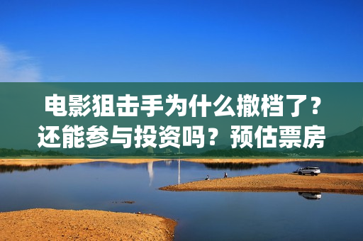 电影狙击手为什么撤档了？还能参与投资吗？预估票房能有多少呢？(狙击手电影为什么撤档)