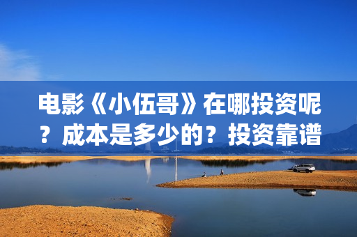 电影《小伍哥》在哪投资呢？成本是多少的？投资靠谱吗？(电影《小伍哥》免费观看)