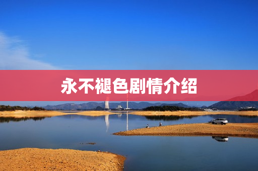 永不褪色剧情介绍