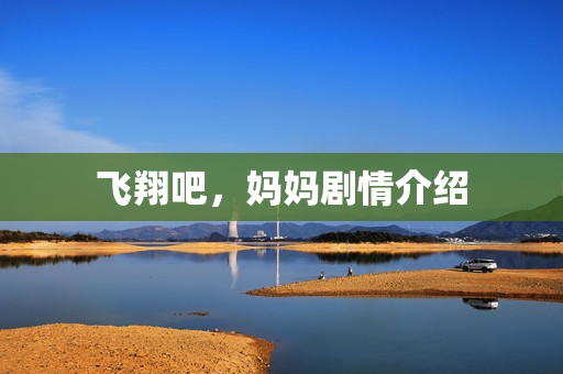 飞翔吧，妈妈剧情介绍