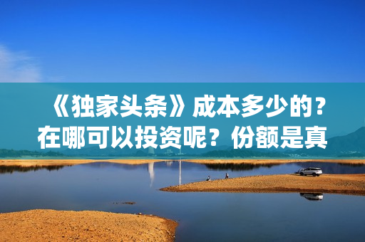 《独家头条》成本多少的？在哪可以投资呢？份额是真实的吗？(电影独家头条讲了个啥)