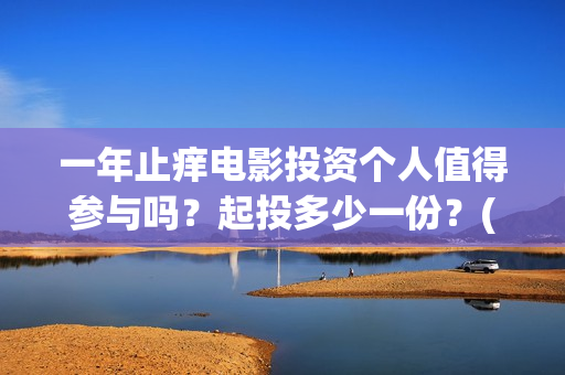 一年止痒电影投资个人值得参与吗？起投多少一份？(电影一年之痒演员表)