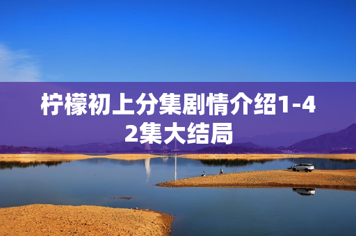 柠檬初上分集剧情介绍1-42集大结局