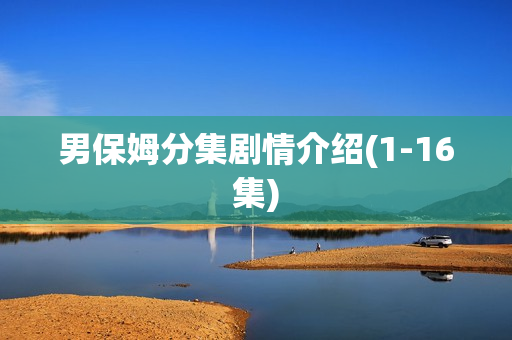 男保姆分集剧情介绍(1-16集)