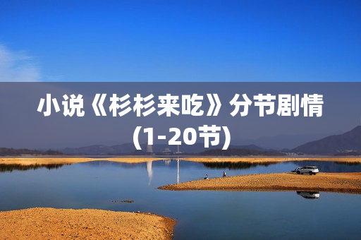 小说《杉杉来吃》分节剧情(1-20节)